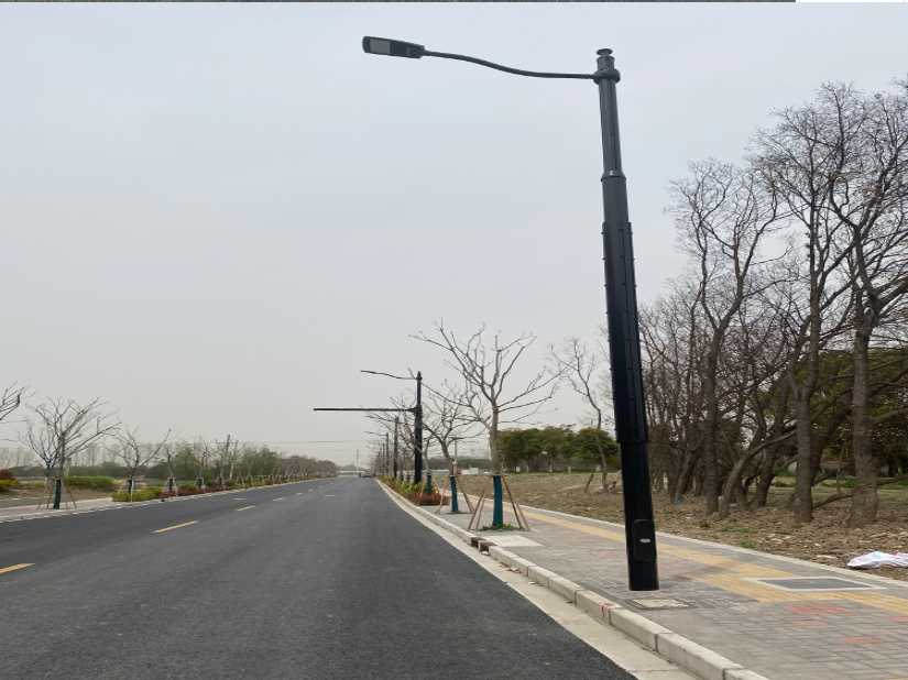 齐河县上海综合杆 太阳能路灯工程